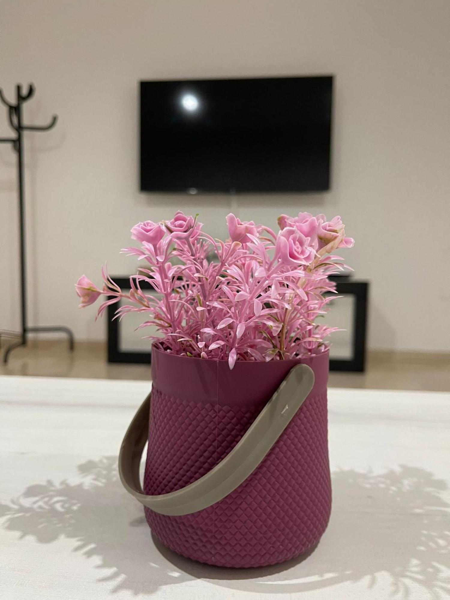 Apartamentos Cayla 桑卢卡尔-德巴拉梅达 外观 照片